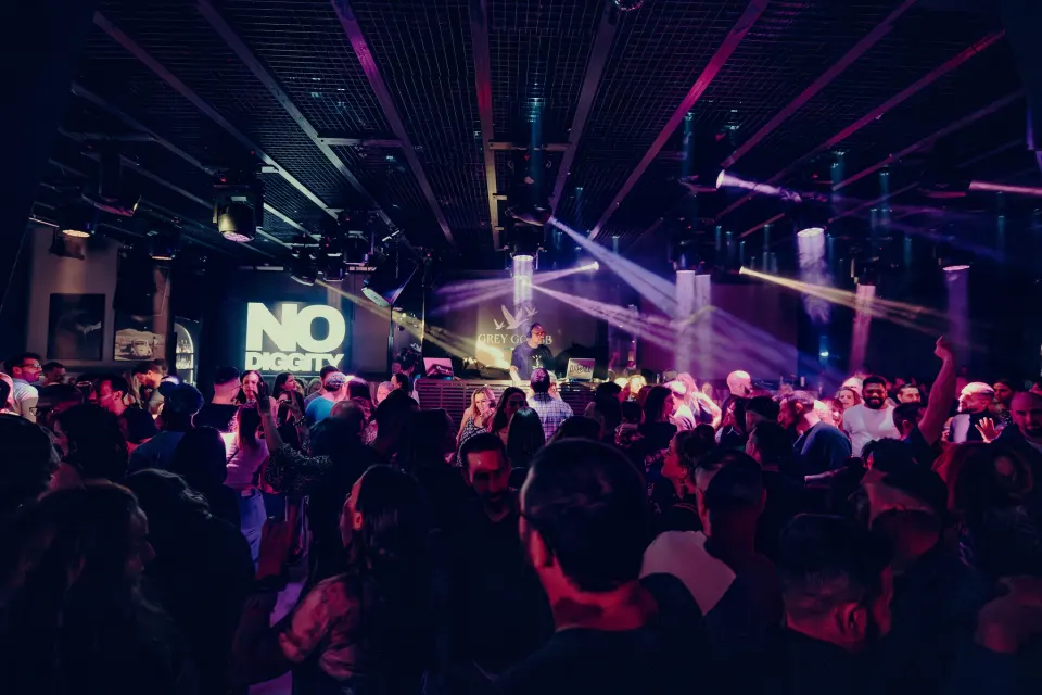 No Diggity // Dezent // 1 Mar 2025 Foto 21