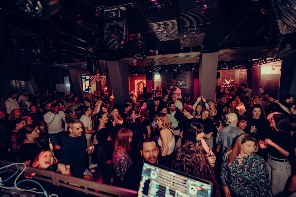 No Diggity // Dezent // 1 Mar 2025 Foto 23