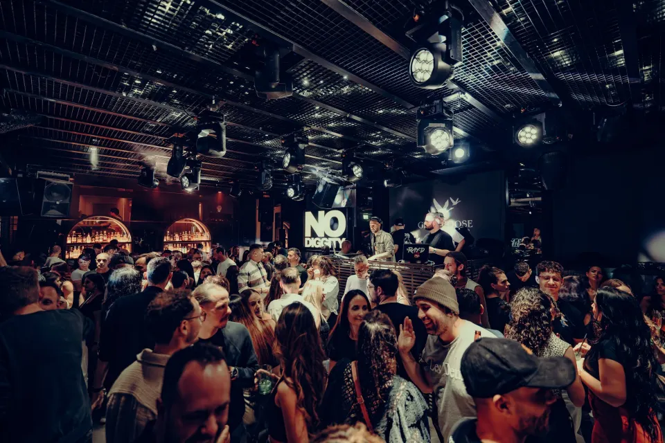 No Diggity // Dezent // 17 April 2025 Foto 22