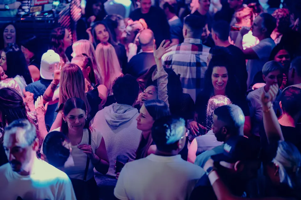 No Diggity // Dezent // 17 April 2025 Foto 15