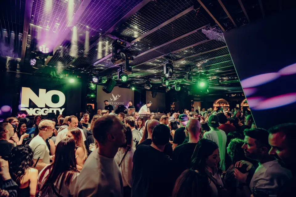 No Diggity // Dezent // 17 April 2025 Foto 6