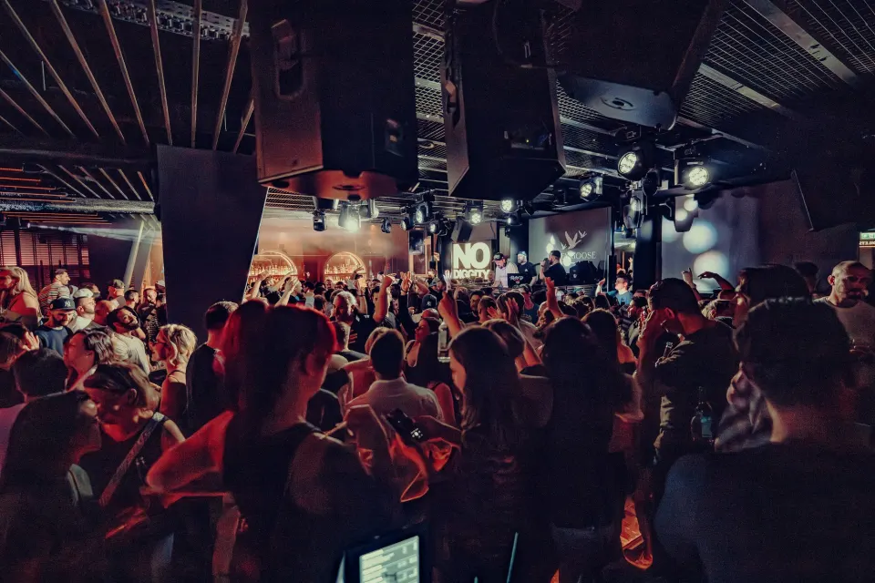 No Diggity // Dezent // 17 April 2025 Foto 27