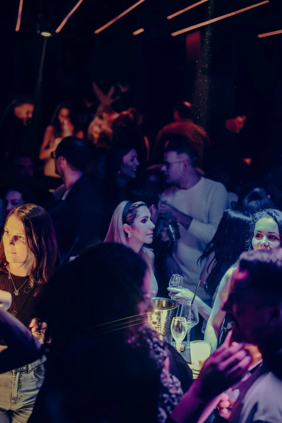 No Diggity // St.Gallen // 29 Nov 2025 Foto 13