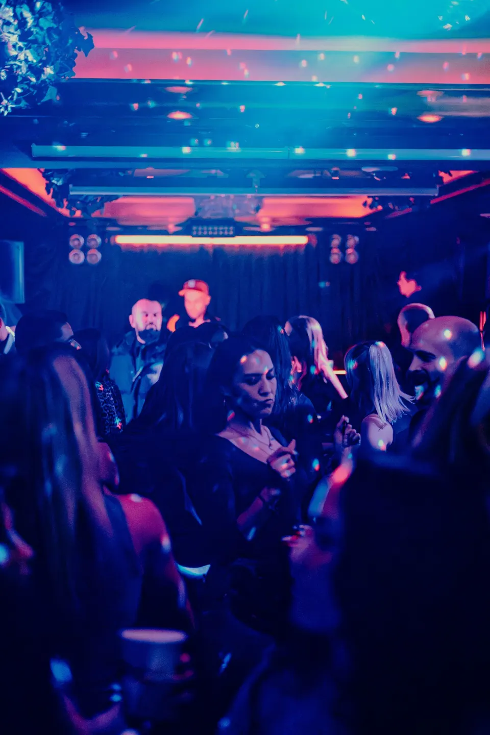 No Diggity // Schaffhausen // 21 Feb 2026 Foto 14