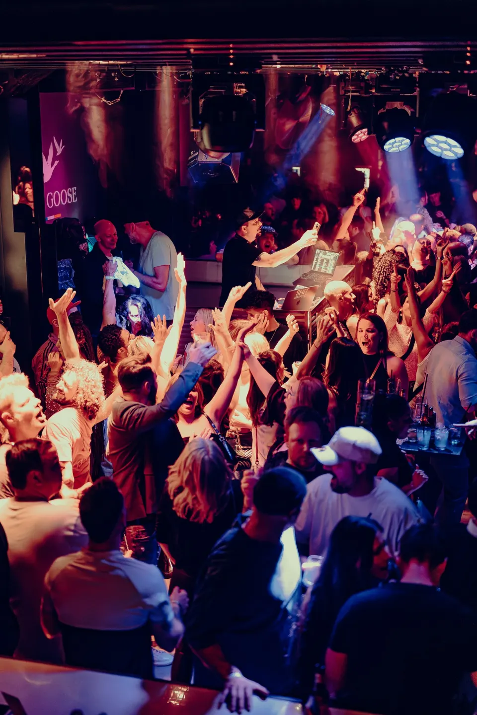 No Diggity // St.Gallen // 28 Feb 2026 Foto 42